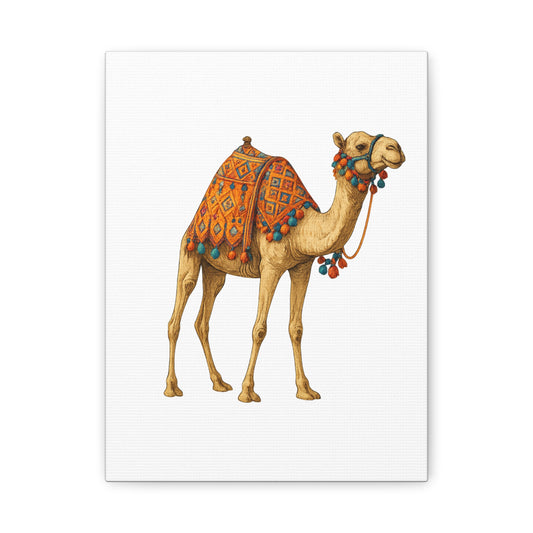 Lumières du Désert