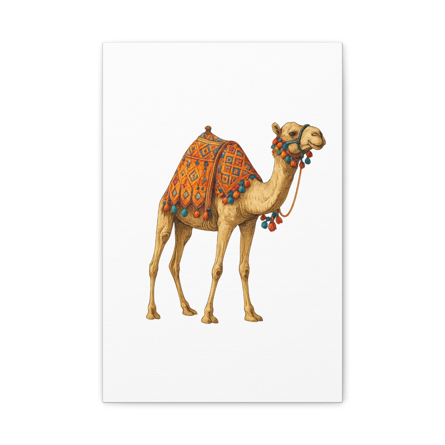 Lumières du Désert