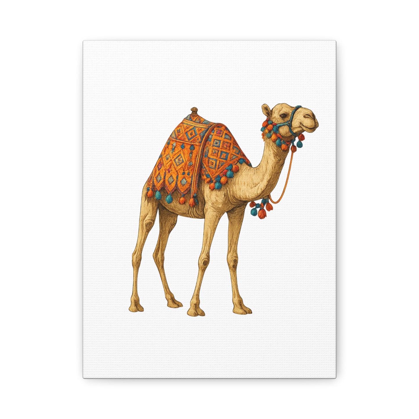 Lumières du Désert