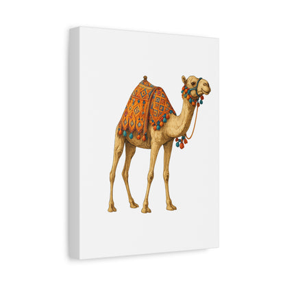 Lumières du Désert