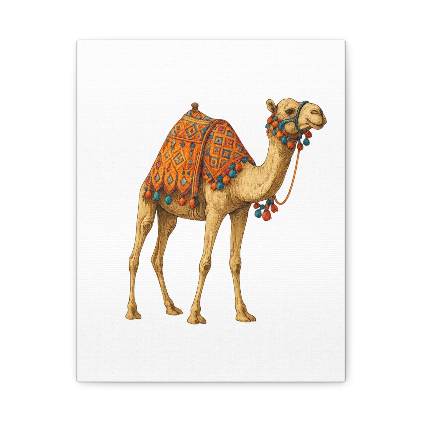 Lumières du Désert