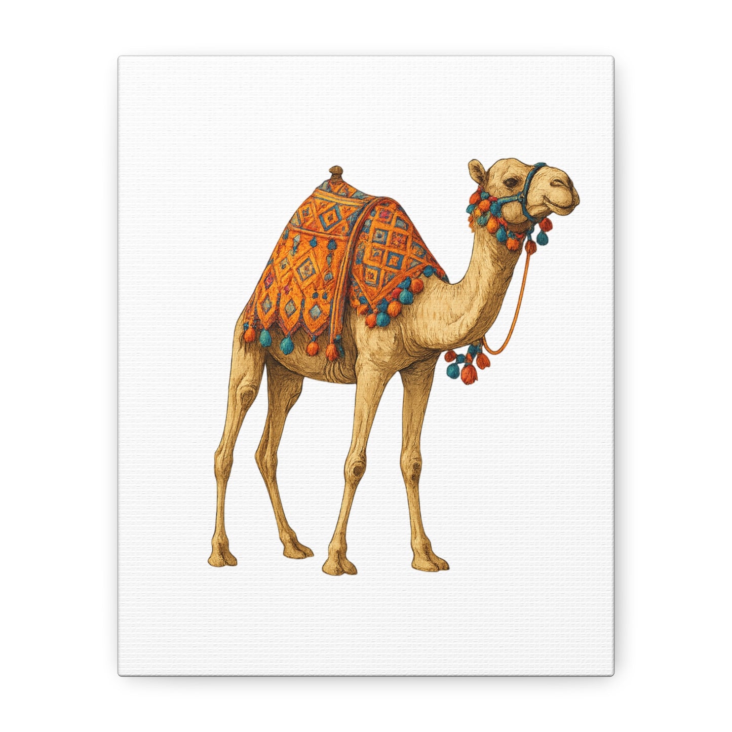 Lumières du Désert