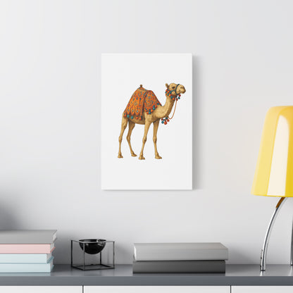 Lumières du Désert