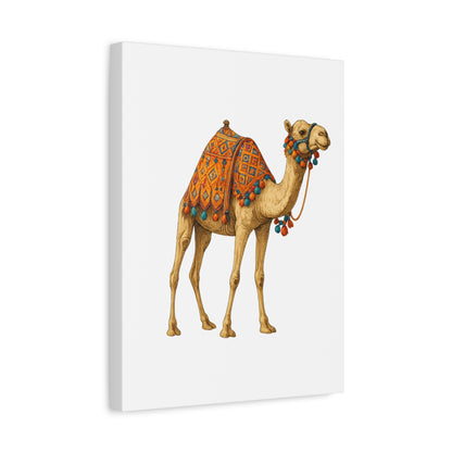 Lumières du Désert