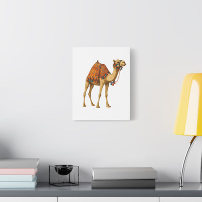 Lumières du Désert