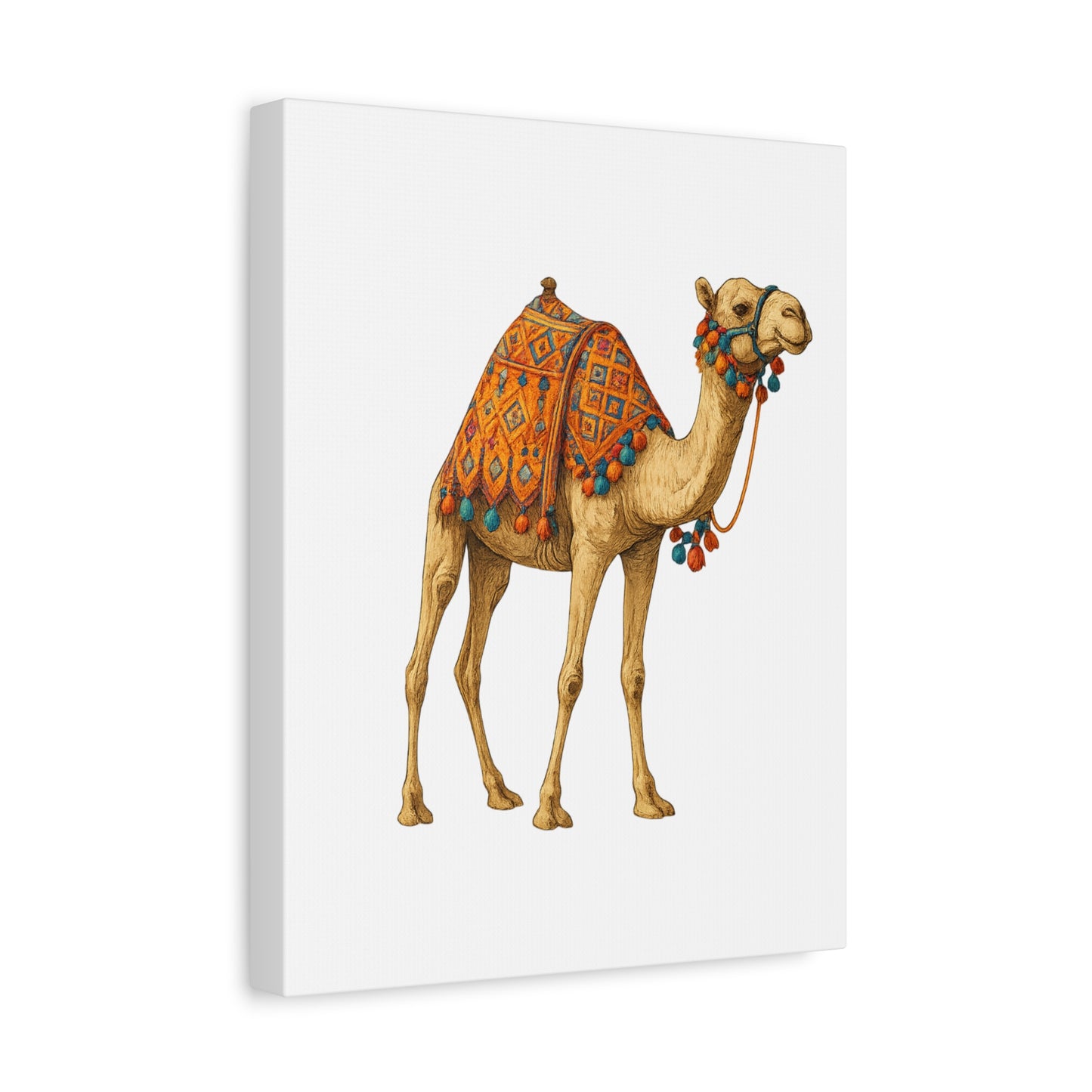 Lumières du Désert